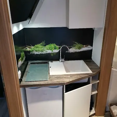 Einzelnwohnung Mit Eigenem Eingang 公寓 *